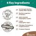 NaturVet Advanced Probiotics & Enzymes for Dogs - Vet Strength PB6 Probiotic Soft Chews (120 Count) - Buy Online on GoSupps.com