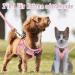 Buy Pink Padded Dog Harness for Small Dogs - Comfortable & Stylish Puppy Harness - Buy Online on GoSupps.com