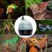 Evergreen Pet Supplies Reptile Humidifier - Large Tank Fogger for Terrariums & Amphibians - Buy Online on GoSupps.com