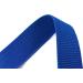 Cressi Nylon Weight Belt with Plastic Buckle - Blue (TA627020) - Buy Online on GoSupps.com