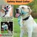 No Pull Dog Collar - Soft Upholstery & Durable Control for Heavy Pulling - XL Turquoise - Free Training Instructions Included - Buy Online on GoSupps.com