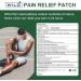 WILD+ 20PCS Herbal Knee Pain Relief Patches | Joint Pain Relief | Long Lasting Warming Plasters for Neck/Back/Knee/Shoulder | Pain Relief Pads - Buy Online on GoSupps.com