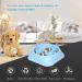 UPSKY Non-Slip Slow Feeder Dog Bowl for Small Dogs (12-70 lbs) - Interactive Puzzle Bowl for Bloat Prevention and Anti-Choking - A-Blue - Buy Online on GoSupps.com