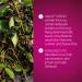 Rubyni Vision for Eyes - 140 Vegan Capsules with Black Currant Extract Natural Eye Vitamins & Minerals for Optimal Eye Health - Buy Online on GoSupps.com