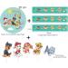 Cardasis Paw Patrol Cake Decoration Set | 20cm + 3 Volume + 4 Figures | Perfect for PAW Patrol Birthday Parties | International Shipping Available - Buy Online on GoSupps.com