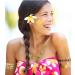 Terra Tattoos Tropical Hawaiian Metallic Temporary Tattoos - 75 Gold Silver Designs with Turtles, Dolphins, Stars, Sun, Moon, and more! - Buy Online on GoSupps.com
