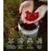 LOOV Organic Wild Cranberry Powder (Pomace Powder) 100 g High in Antioxidants and Phytonutrients Made from Berry Skins and Seeds Only no Added Sugar Wild-Crafted from Nordic Forests - Buy Online on GoSupps.com
