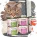 Venandi Animal Premium Wet Cat Food - Tasting Package III (Monoprotein 6 Pack) - Grain-Free Variety (Chicken Duck Beef Horse Calf Turkey) - 6 x 200g - Buy Online on GoSupps.com
