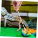 BESPORTBLE 6 Pcs Animal Feeding Pet Food Scoop Reptile Reptile Stainless Steel 19.20X1.30X0.20CMx3pcs Goldenx3pcs - Buy Online on GoSupps.com