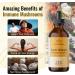Super Immune Mushroom Complex Liquid Extract - 4 fl. Oz Vegan Tincture with Lions Mane, Reishi, Shiitake, Turkey Tail & Chaga - Immune Support & Energy Supplement - Buy Online on GoSupps.com