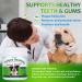 Petstoral Natural Dog Dental Powder Dog Dental Care - Plaque Remover and Bad Breath Treatment Healthy Gums & Fresh Breath for All Dogs and Cats (1) - Buy Online on GoSupps.com