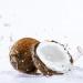 Chaokoh Coconut Gel in Syrup 500g from Thailand - Authentic Thai Treat - Buy Online on GoSupps.com