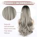 Faelbaty Long Curls Silver-Gray Wig | Ombre Brown to Gray | Natural Look | Ideal for Women & Girls - Party & Cosplay (24 Rh6/171/gray) - Buy Online on GoSupps.com
