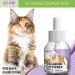 Beloved Pets Cat Calming Diffuser - Feline Calm Pheromones for Stress Relief & Anxiety Reduction | Anti-Anxiety Products for Cats | Helps with Aggression, Peeing Outside the Litter Box, and Behavioral Issues - Buy Online on GoSupps.com