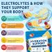 Electrolyte Drink Mix 24 Stick Packs Sugar-Free Dehydration Relief Hydration Support with 7 Electrolytes & 5 Vitamins Keto & Gluten-Free Pineapple Grape Cherry Passion Fruit Flavors - Buy Online on GoSupps.com