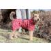 Rukka Pets HAYTON WARM Raincoat for Dogs - Carmine Red 30 | Stylish & Waterproof Dog Rain Gear - Buy Online on GoSupps.com