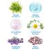 MAREE Anti-Aging Facial Masks with Natural Pearl Extract, Marine Collagen & Hyaluronic Acid - 6 Pack for Wrinkles, Dry Skin & Firming - Skin Care Sheet Masks - Buy Online on GoSupps.com