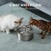 DOOOB Stainless Steel Cat Water Fountain - 3.2L/108oz Pet Dispenser with 3 Filters, Ultra-Quiet Pump, & Waterproof Mat - Buy Online on GoSupps.com
