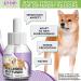 Beloved Pets Cat Calming Diffuser - Feline Calm Pheromones for Stress Relief & Anxiety Reduction | Anti-Anxiety Products for Cats | Helps with Aggression, Peeing Outside the Litter Box, and Behavioral Issues - Buy Online on GoSupps.com