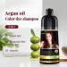 Herbishh Magic Hair Dye Shampoo for Gray Hair - 500ml Long Lasting 3-in-1 Ammonia-Free Hair Color (Burgundy) - Buy Online on GoSupps.com