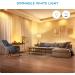 WiZ Connected 6-Pack Smart WiFi Light Bulb 60W Dimmable 2700K - Alexa & Google Home Compatible - No Hub Required - 6 Bulbs - Buy Online on GoSupps.com