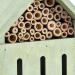 Green Insect & Butterfly Hotel Home House Bees Bugs and Insects Nesting Box - Buy Online on GoSupps.com