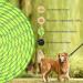 Aystkniet 30m Bungee Tow Leash for Dogs - Shock-Absorbing Padded Handle Reflective Lockable Hook for Medium & Large Dogs | Green - Buy Online on GoSupps.com