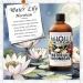 HIQILI 30ML Bergamot Essential Oil & 150ML Water Lily Moonbeam Fragrance Oil for DIY Diffuser - Buy Online on GoSupps.com