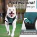 Buy Eagloo Adjustable Dog Harness for Small Dogs - Durable Anti-Train Reflex Strips for Walking & Jogging - Dark Green - Buy Online on GoSupps.com