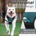 Eagloo Large Dog Harness - Adjustable Anti-Train Control Harness with Reflex Strips for Labs & Large Dogs - Dark Green - XL (1 Pack) - Buy Online on GoSupps.com