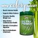 Garden Greens Organic Celery Juice Powder - 40 Servings (11.3 Oz) | Pure & Powerful - Buy Online on GoSupps.com