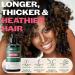 Hair Illusion Maximum Potency Biotin Shampoo | Rosemary & Castor Oil | Natural Sulfate Free for Hair Loss & Thinning Hair - International Shipping Available - Buy Online on GoSupps.com
