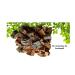Buy Cork Bark Refill Pack for Fruit Skewers | Large Bag - Premium Quality International Shipping - Buy Online on GoSupps.com