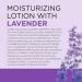 Dr Teal's 24 Hour Moisture+ Body Lotion Lavender Essential Oil 18 fl oz (Pack of 3) Lavender 18 Fl Oz (Pack of 3) - Buy Online on GoSupps.com