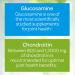 Puritan's Pride Glucosamine Chondroitin Mini Tabs 120ct - Buy Online on GoSupps.com