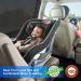 Pemotech Car Window Shades - UV Sun Protection for Kids, Adults, and Pets - Large Size (39.8 x 27.2) - Fits 98% of Cars - Buy Online on GoSupps.com