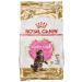 Royal Canin Maine Coon Kitten Dry Cat Food 10kg