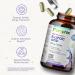 Biophix R-Lipoic Acid 300 mg - High Potency Antioxidant Support with Biotin - 120 Non-GMO Gluten Free Veggie Capsules for Energy Boost - International Shipping Available - Buy Online on GoSupps.com