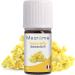 Buy Immortelle Bio Oil - 100% Natural & Organic Helichrysum Italicum - Vegan Aromatherapy Fragrance - 5ml - Buy Online on GoSupps.com