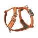DOG Copenhagen Comfort Walk Air 3.0 Hundegeschirr Orange Sun S S Orange Sun