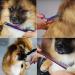 Colorful 7-Inch Dog Grooming Scissors Set - Professional Stainless Steel Shears for Pet Trimming and Hair Cutting - Buy Online on GoSupps.com