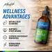 Organic Milk Thistle Liver Detox Drops - 4 fl. Oz - Liver Support Supplement - Buy Online on GoSupps.com