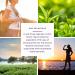 AOR - Active Green Tea 180 Capsules - Helps to Reduce Oxidative Damage - Green Tea Catechins Help Protect Plasma and Lipoproteins from Oxidative Damage by Increasing Blood Antioxidant Capacity - Buy Online on GoSupps.com