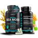 SPARTIS Certified Organic Sea Moss Capsules 2250mg Wildcrafted Irish Sea Moss Burdock Root Bladderwrack Supplement Raw Seamoss Pills & Powder (Pack of 1 at 180-Caps)