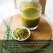 Organic Gerstengrass Powder 550g - Bavarian Barley Grass | Vegan & Lab-Tested | Premium Quality from Germany - Buy Online on GoSupps.com