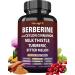 Berberine with Ceylon Cinnamon Supplement Milk Thistle Turmeric Bitter Melon for Digestion Immunity. Organic Complex for Men & Women Non-GMO Gluten-Free Vegan USA (120 Capsules) 120 Count (Pack of 1)