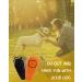 Shop TODREMOU High-Frequency Dog Whistle & Clicker Set for Effective Dog Training International Shipping Available! - Buy Online on GoSupps.com