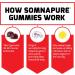 Force Factor Somnapure Gummies - 10 mg Melatonin, Dream Berry Flavor, 120 Count - Buy Online on GoSupps.com