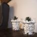 Kalapanta Recycled Plastic Decoration Stones for Vases & Aquariums - Eco-Friendly White Decor (S 2-5 cm 155 Pieces) - Buy Online on GoSupps.com