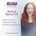 NOW Solutions Apricot Kernel Oil 16oz - Hair Moisturizer & Skin Rejuvenating Oil - Buy Online on GoSupps.com